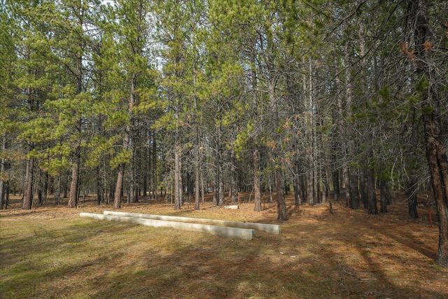 28202 N Bruce Rd, Chattaroy, WA 99003