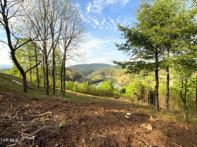 Lot 60 Cowan Town Road, Butler, TN 37640