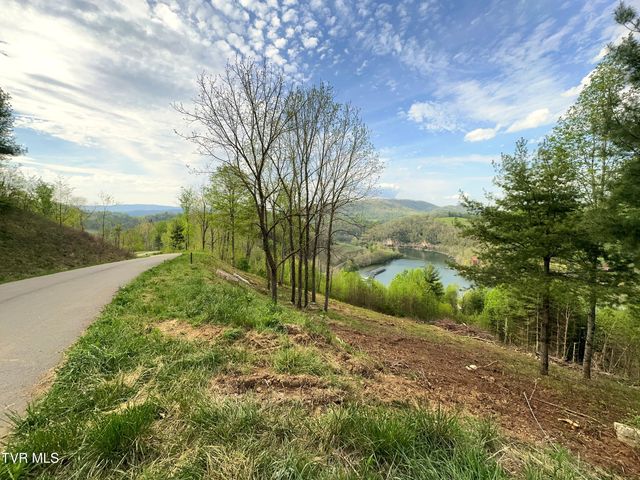Lot 60 Cowan Town Road, Butler, TN 37640