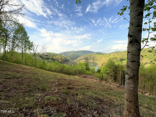 Lot 60 Cowan Town Road, Butler, TN 37640