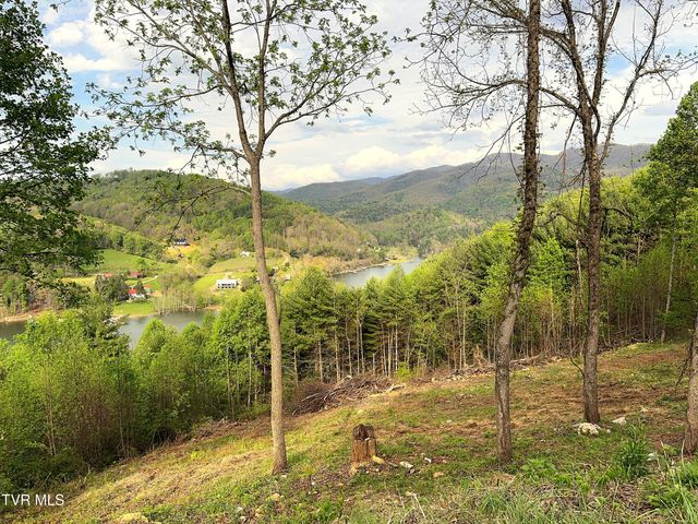 Lot 60 Cowan Town Road, Butler, TN 37640