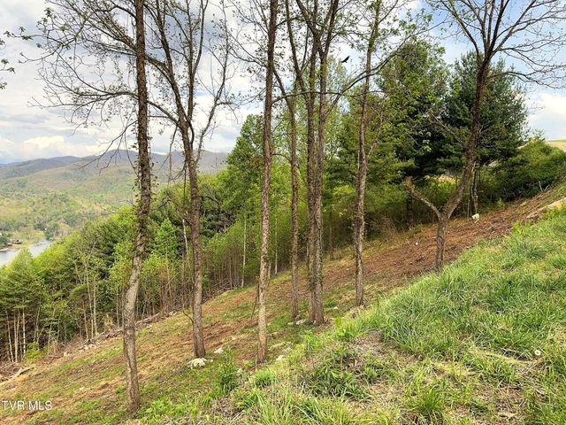 Lot 60 Cowan Town Road, Butler, TN 37640
