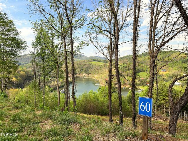 Lot 60 Cowan Town Road, Butler, TN 37640