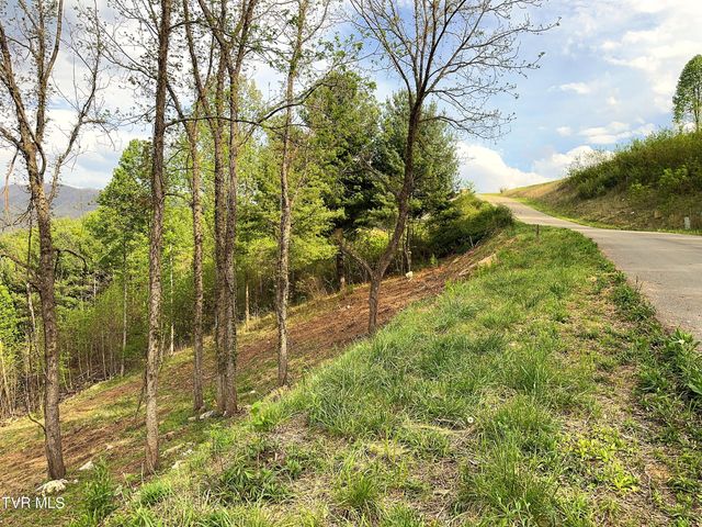 Lot 60 Cowan Town Road, Butler, TN 37640