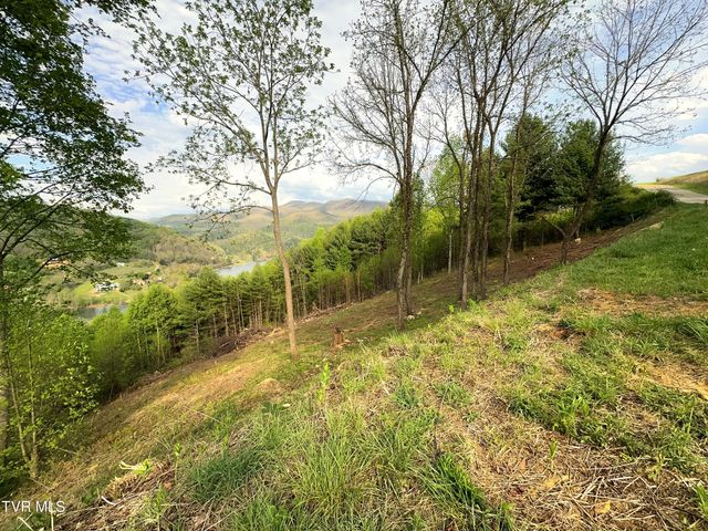 Lot 60 Cowan Town Road, Butler, TN 37640
