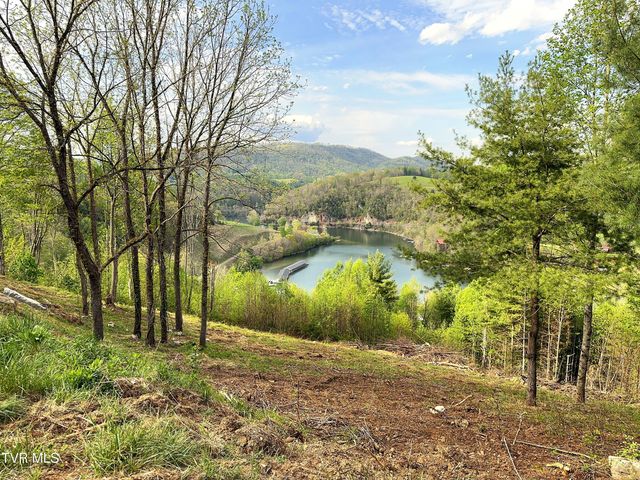 Lot 60 Cowan Town Road, Butler, TN 37640
