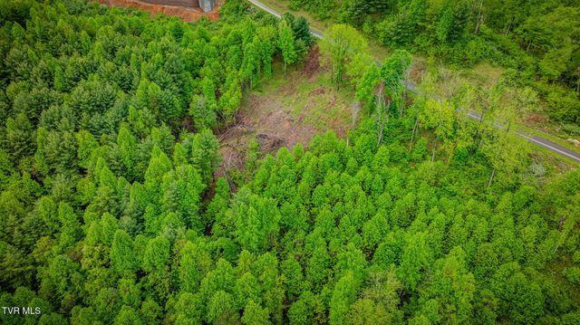 Lot 60 Cowan Town Road, Butler, TN 37640