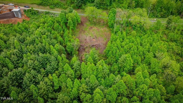Lot 60 Cowan Town Road, Butler, TN 37640