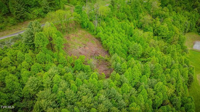 Lot 60 Cowan Town Road, Butler, TN 37640