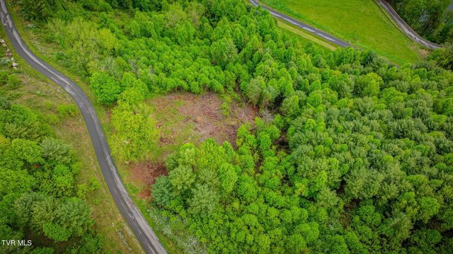 Lot 60 Cowan Town Road, Butler, TN 37640