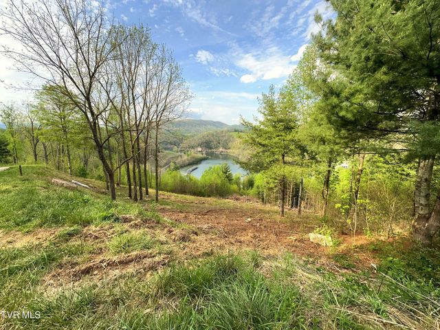 Lot 60 Cowan Town Road, Butler, TN 37640