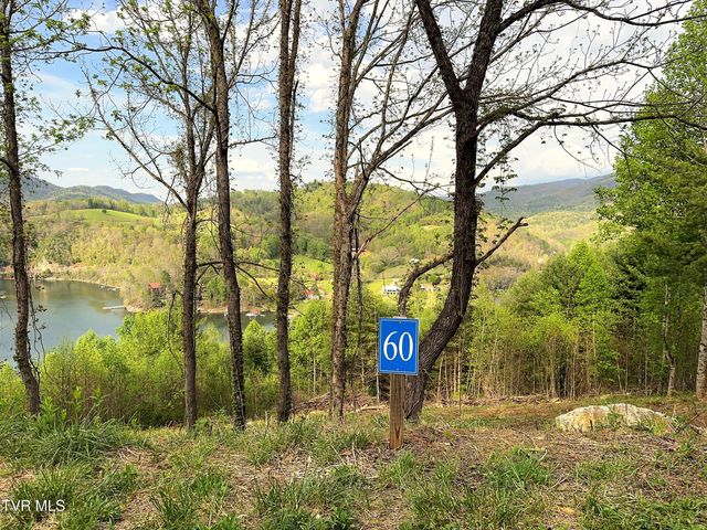 Lot 60 Cowan Town Road, Butler, TN 37640
