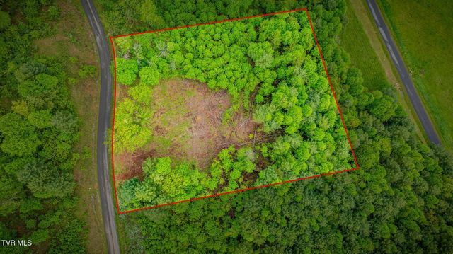 Lot 60 Cowan Town Road, Butler, TN 37640