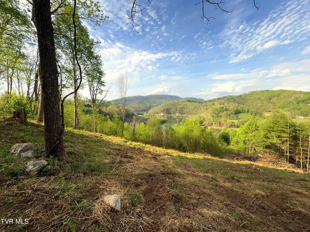 Lot 60 Cowan Town Road, Butler, TN 37640