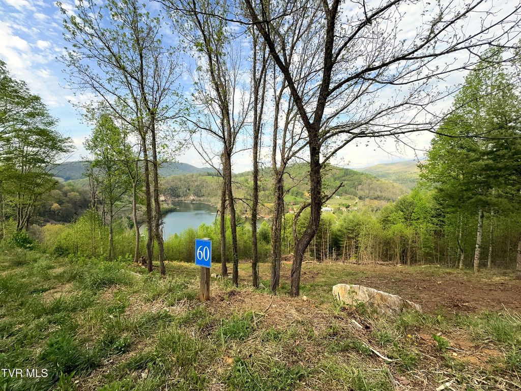 Lot 60 Cowan Town Road, Butler, TN 37640