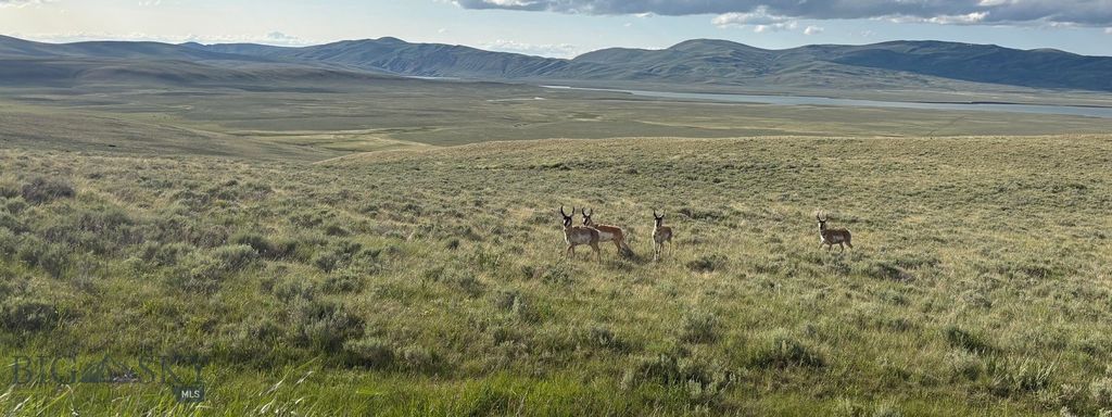 TBD South Valley Road, Dell, MT 59724 photo 11