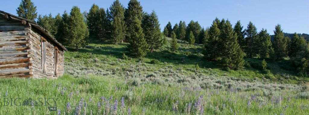 TBD South Valley Road, Dell, MT 59724 photo 21