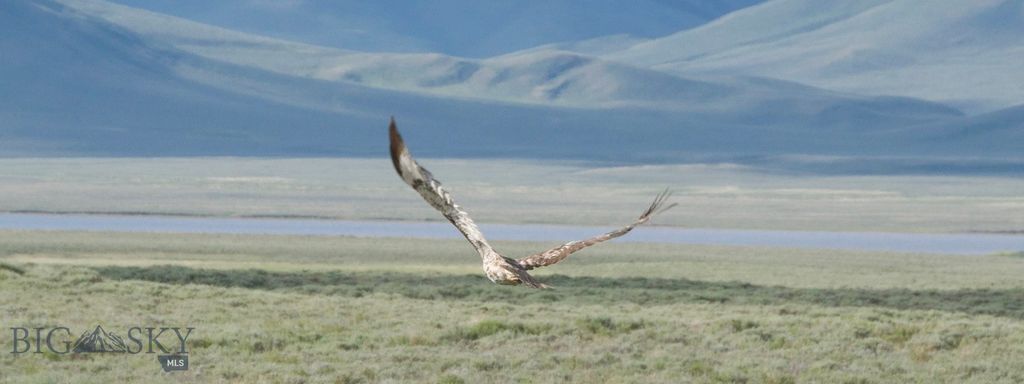 TBD South Valley Road, Dell, MT 59724 photo 24