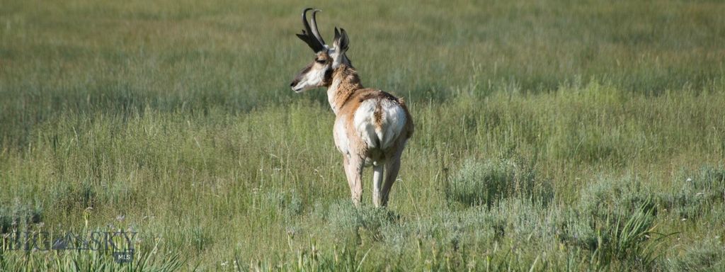 TBD South Valley Road, Dell, MT 59724 photo 26