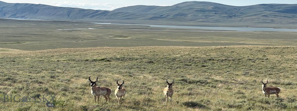 TBD South Valley Road, Dell, MT 59724 photo 27