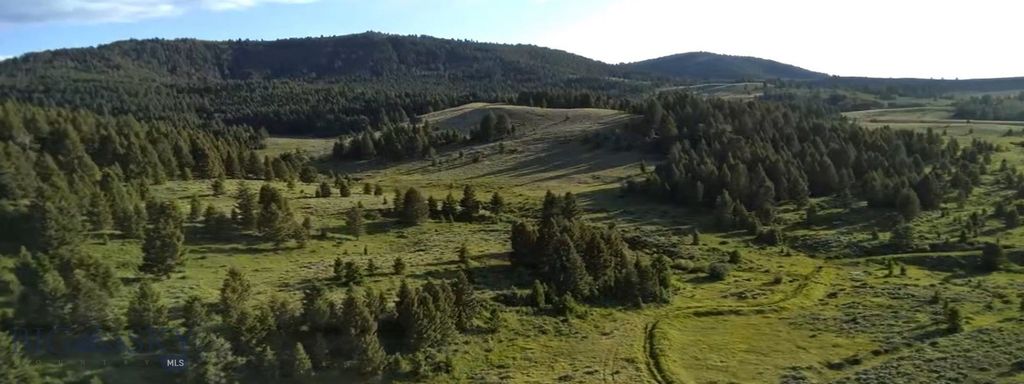 TBD South Valley Road, Dell, MT 59724 photo 33