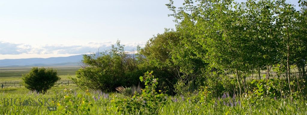 TBD South Valley Road, Dell, MT 59724 photo 8