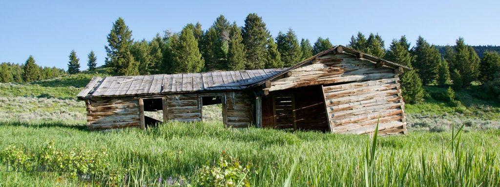 TBD South Valley Road, Dell, MT 59724 photo 9