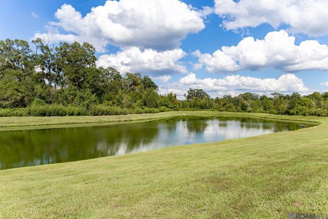 38451 Brown Rd, Prairieville, LA 70769