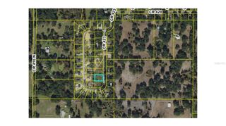 CR 423, Lake Panasoffkee, FL 33538