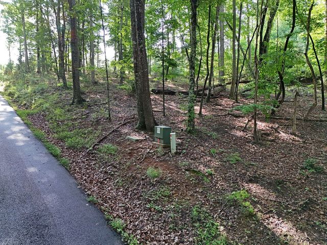 Lot 100 Valley Crest Drive, Blairsville, GA 30512
