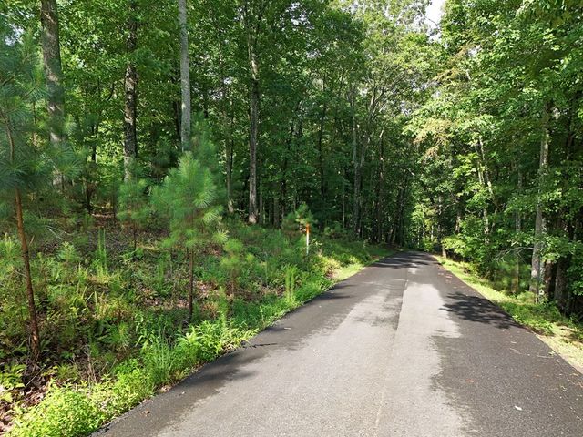 Lot 100 Valley Crest Drive, Blairsville, GA 30512