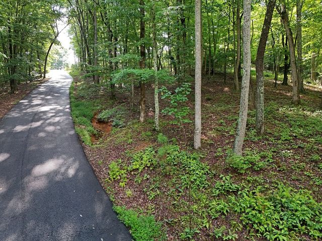 Lot 100 Valley Crest Drive, Blairsville, GA 30512