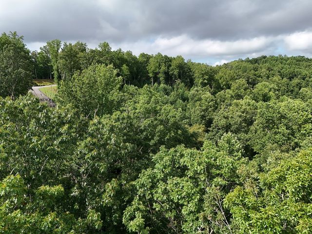 Lot 100 Valley Crest Drive, Blairsville, GA 30512
