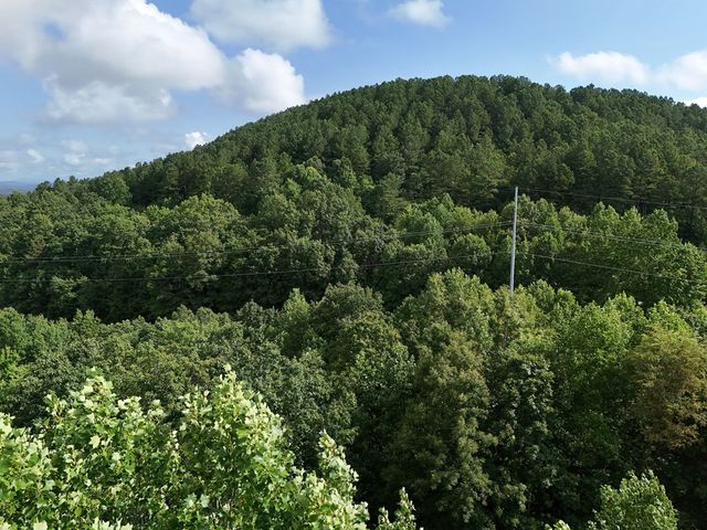 Lot 100 Valley Crest Drive, Blairsville, GA 30512