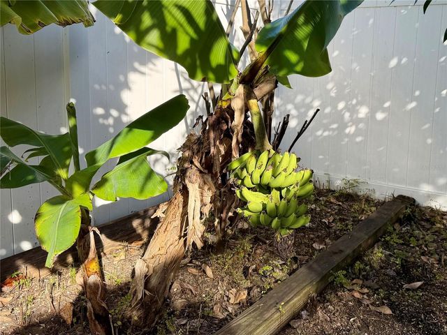 2069 NERVA ROAD, Winter Garden, FL 34787