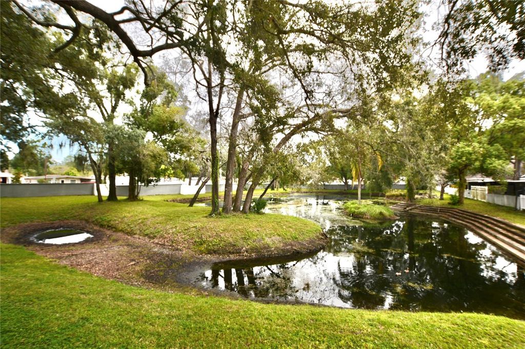 Image 39 of property listing at 1762 CASTLE ROCK ROAD, Tampa, FL 33612