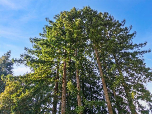 62 Spur Street, Weott, CA 95571