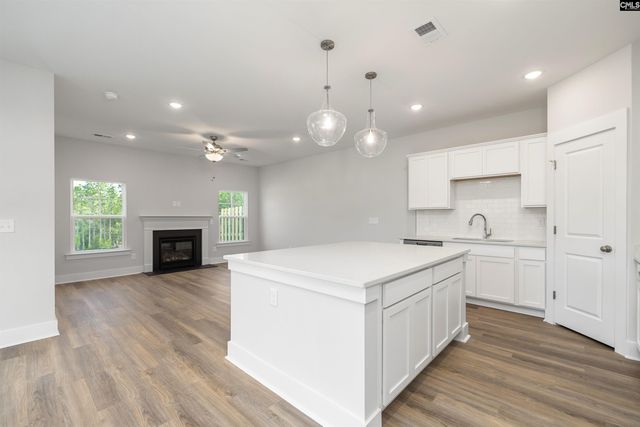 24 Fawn Spot Court, Elgin, SC 29045