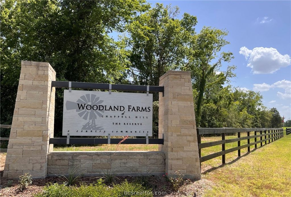 7634 Woodland Farms Lane, Chappell Hill, TX 77426 — photo 4