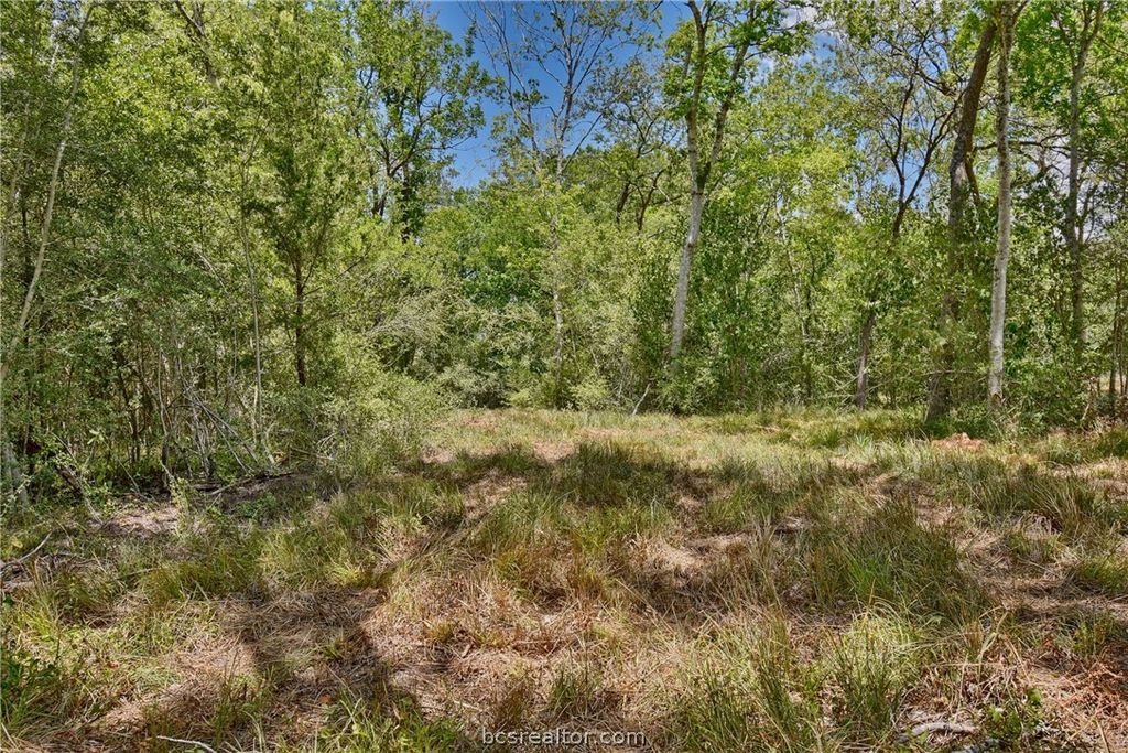 7634 Woodland Farms Lane, Chappell Hill, TX 77426 — photo 5