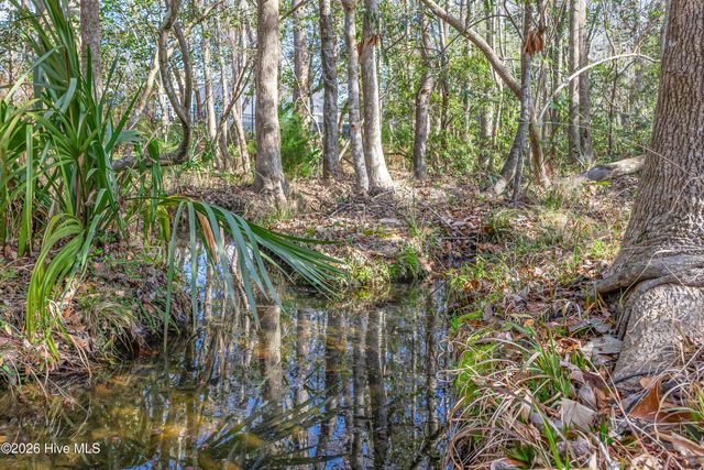 922 Billys Dream Circle SW, Supply, NC 28462