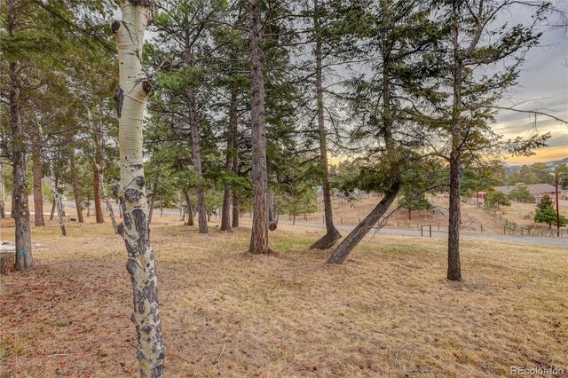 9039 S Bertha Court, Morrison, CO 80465