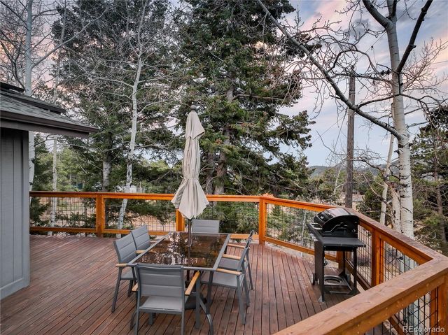 9039 S Bertha Court, Morrison, CO 80465