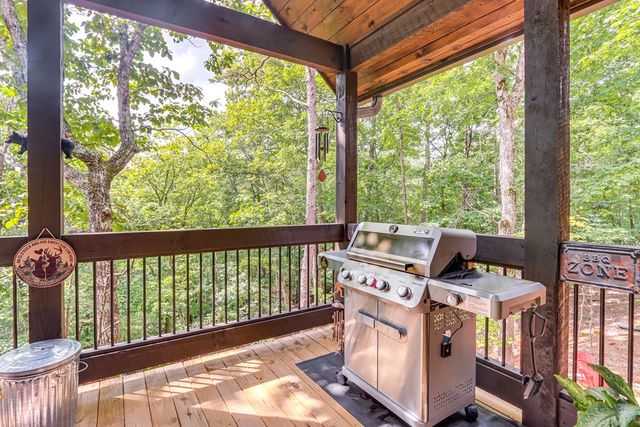 313 Muffle Court, Ellijay, GA 30540