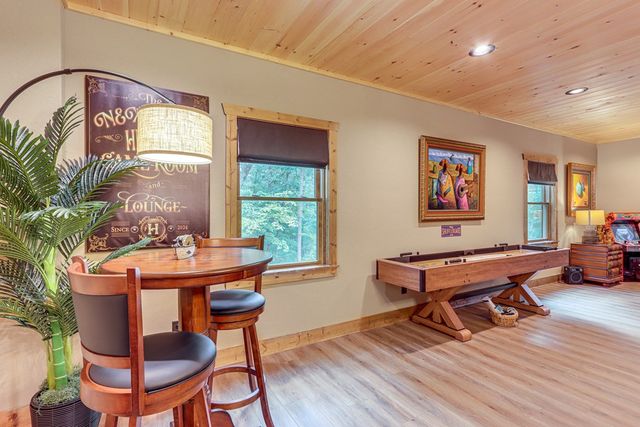 313 Muffle Court, Ellijay, GA 30540