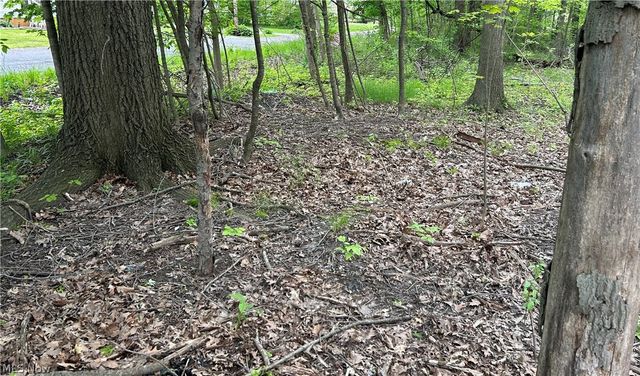 Ridley Avenue, Youngstown, OH 44505