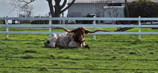 16 Brenda LN, Round Rock, TX 78665