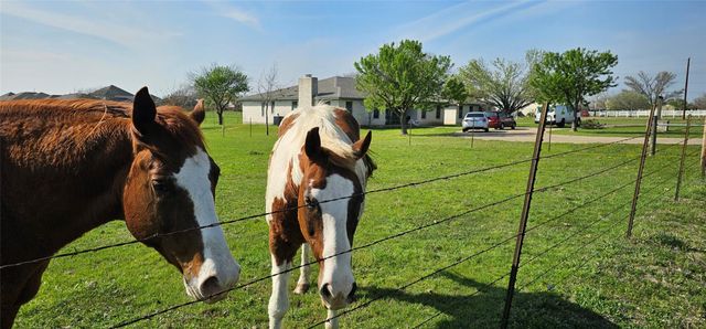 16 Brenda LN, Round Rock, TX 78665