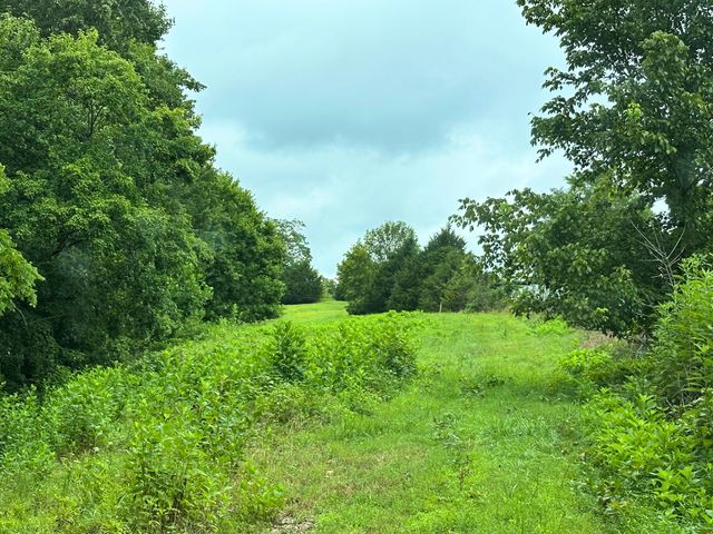 0 Pea Ridge Rd, Chestnut Mound, TN 38552