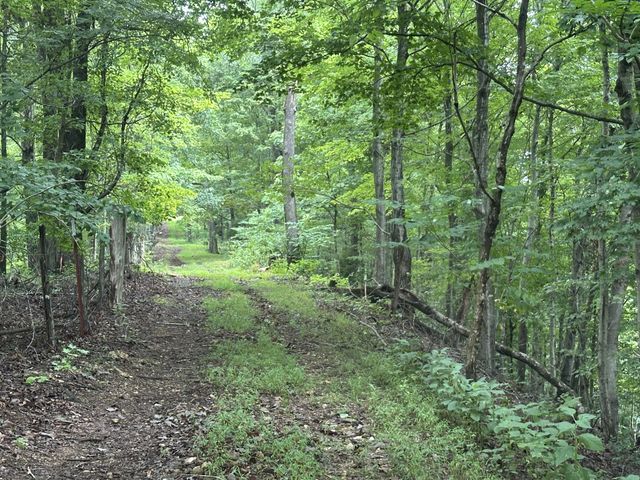 0 Pea Ridge Rd, Chestnut Mound, TN 38552